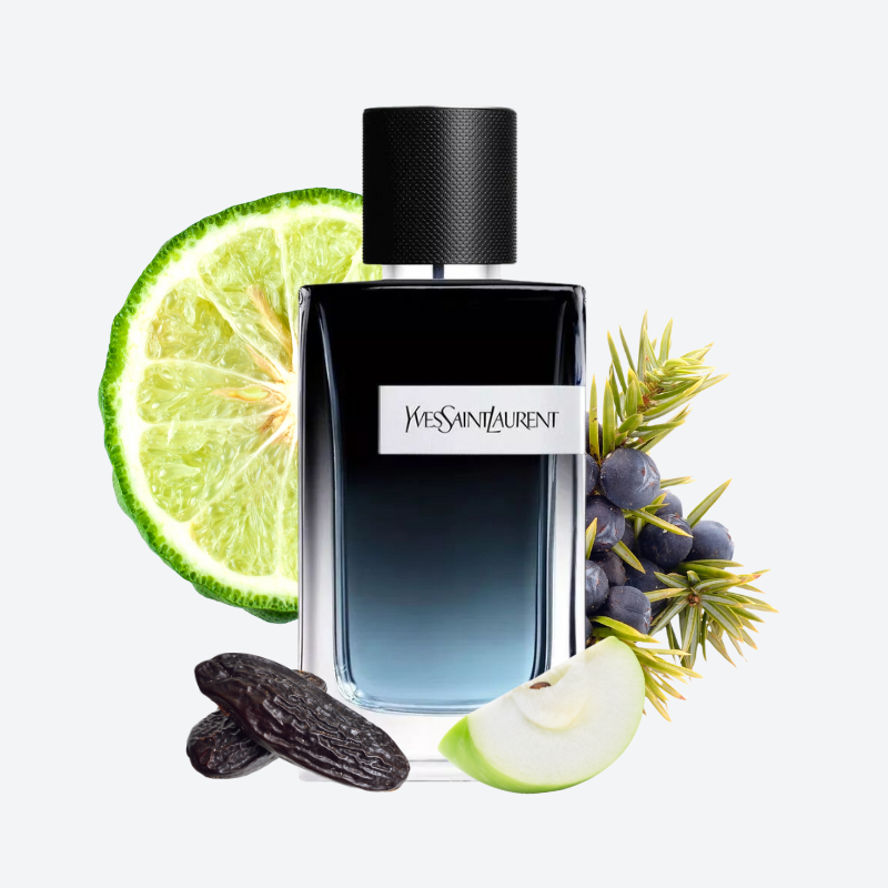 Yves Saint Laurent Y EDP