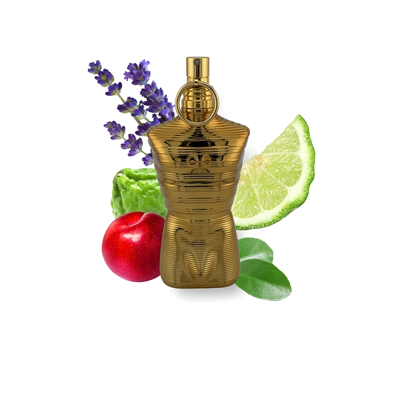 Le Mâle Elixir Parfum Duftprobe von Jean Paul Gaultier mit passenden Duftnoten
