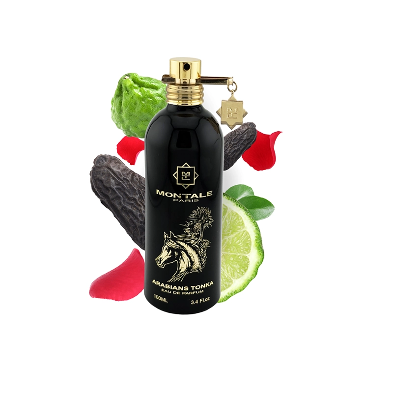 Arabians Tonka EDP Duftprobe von Montale mit passenden Duftnoten
