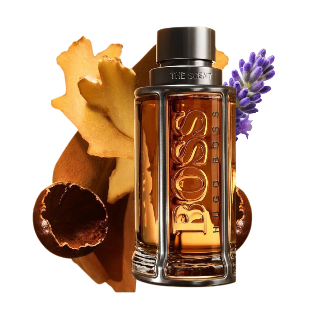 Hugo Boss Der Duft für Ihn EdT