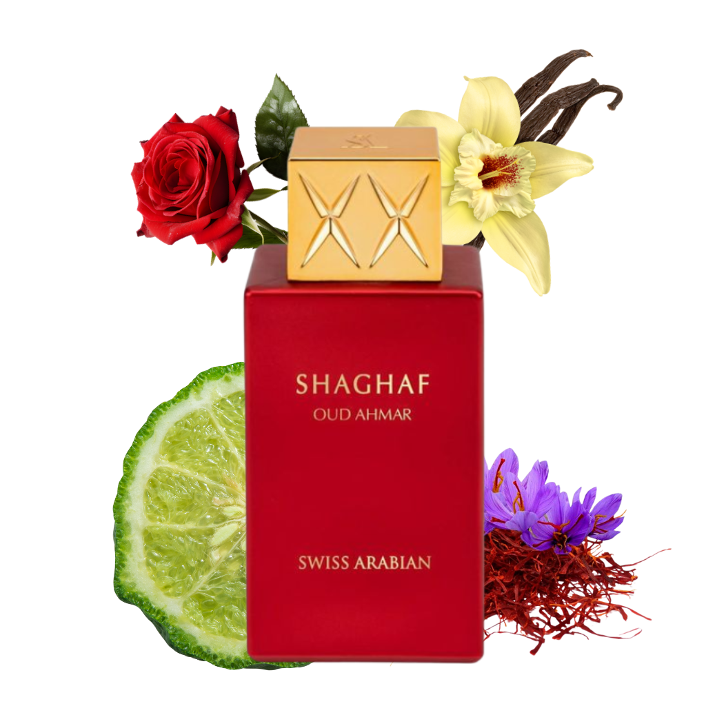 Schweizer arabischer Shaghaf Oud Ahmar